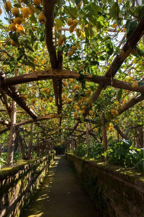 Вилла I Giardini Di Cataldo Сорренто Экстерьер фото